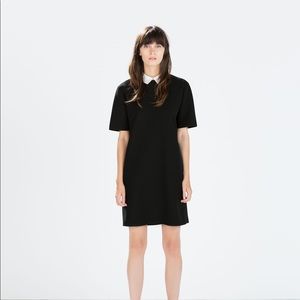 Zara Peter Pan Collar Dress